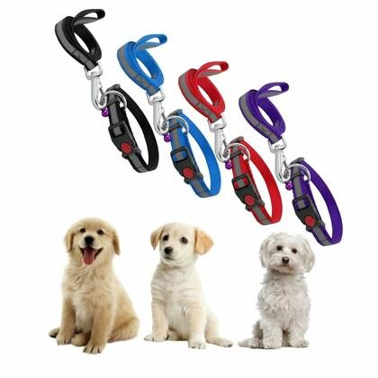 Dog Collar & Leash Set