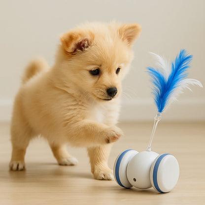 Happy pets enjoying playful moments.
