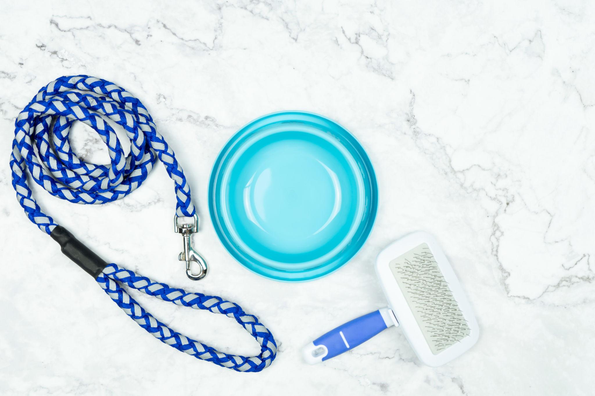 Premium Pet Accessories Kit