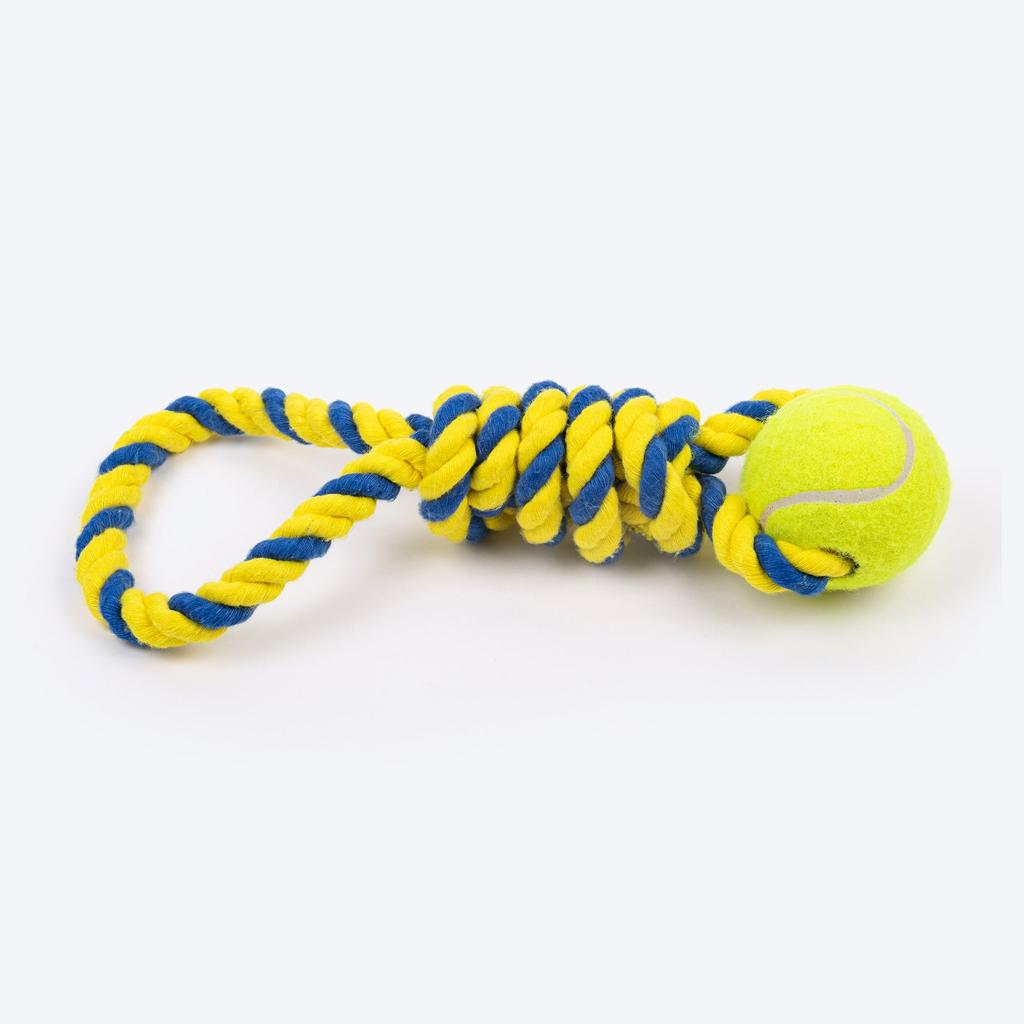 Interactive Pet Toy Set