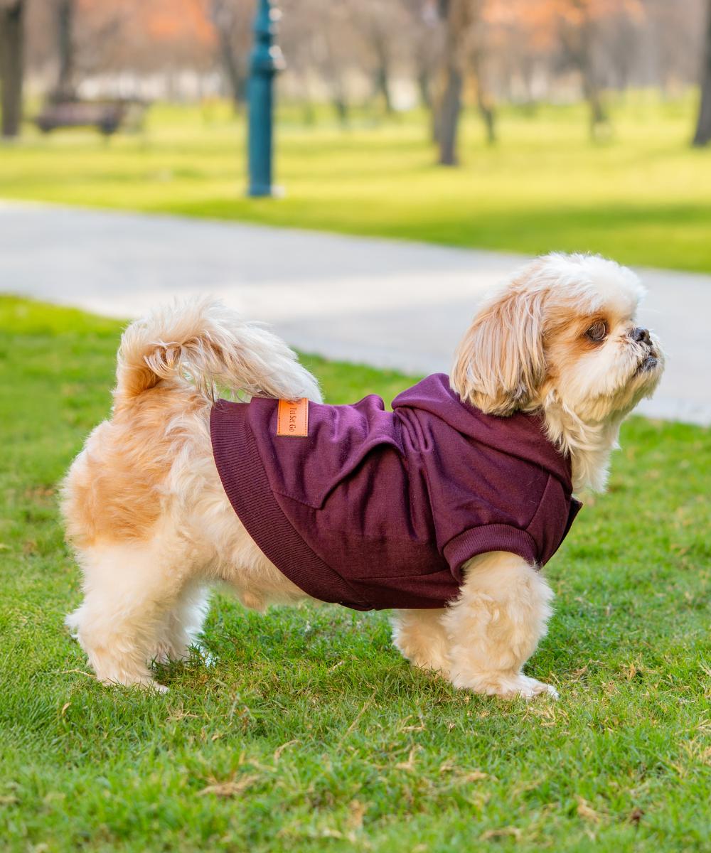 Premium Pet Clothing Collection
