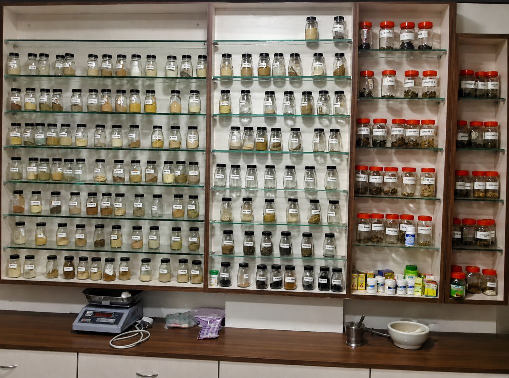 Authentic Ayurvedic Herbal Medicine Collection
