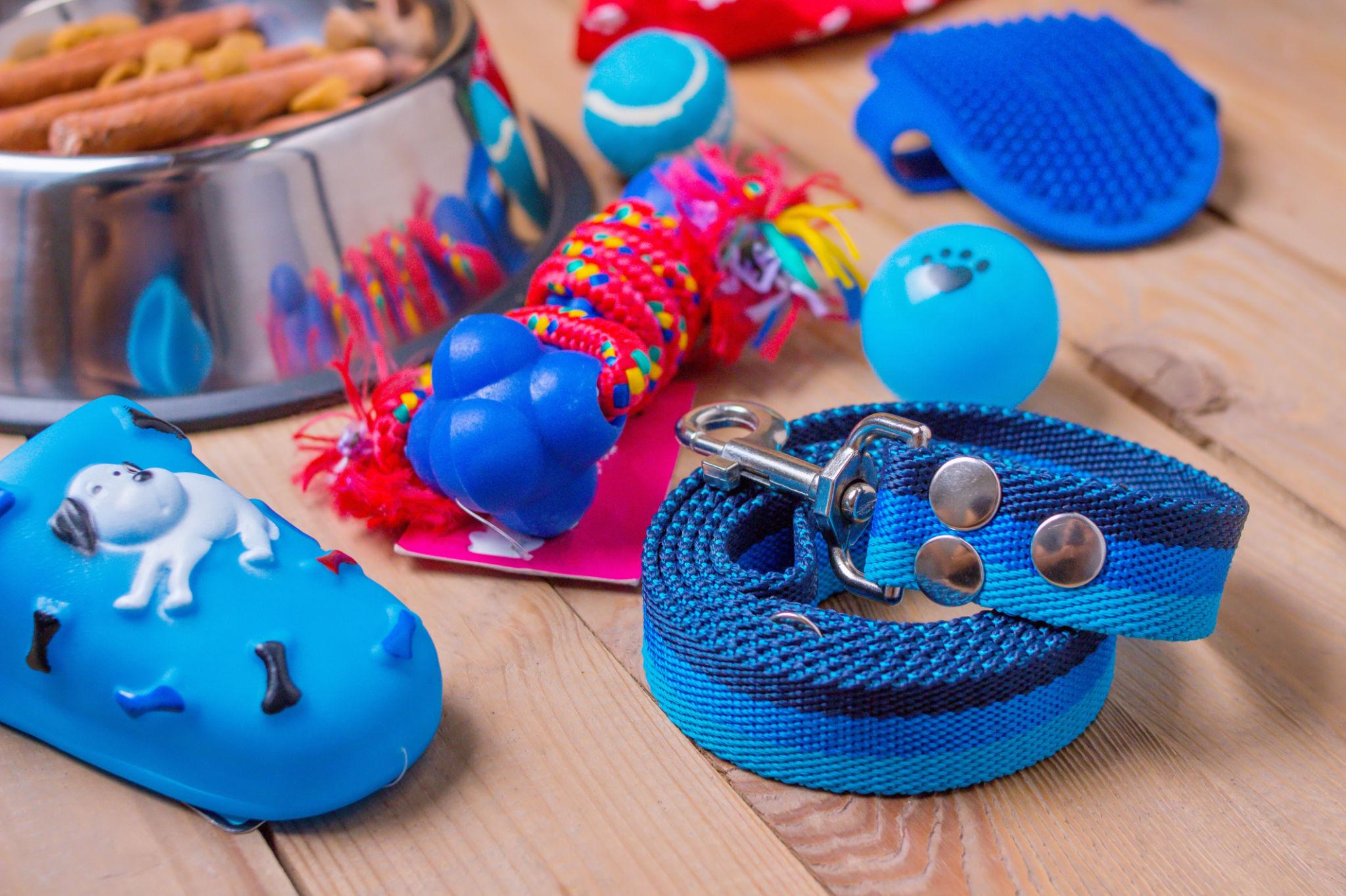 Pet Toys & Accessories