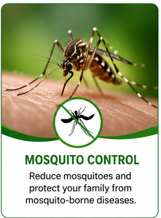 Mosquito Control