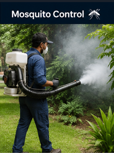 House Fly Control