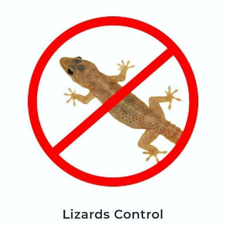 Lizard Control