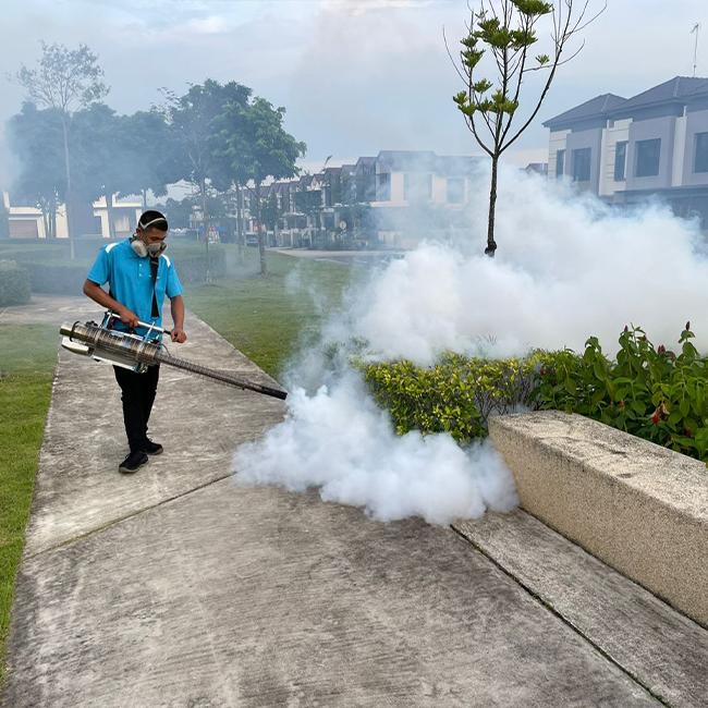 Mosquito Control