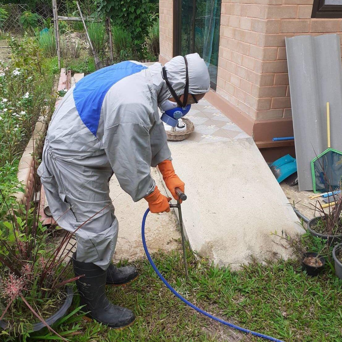 Termite Control