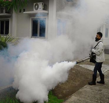 Mosquito Control Service