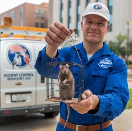 Rodent Control Service
