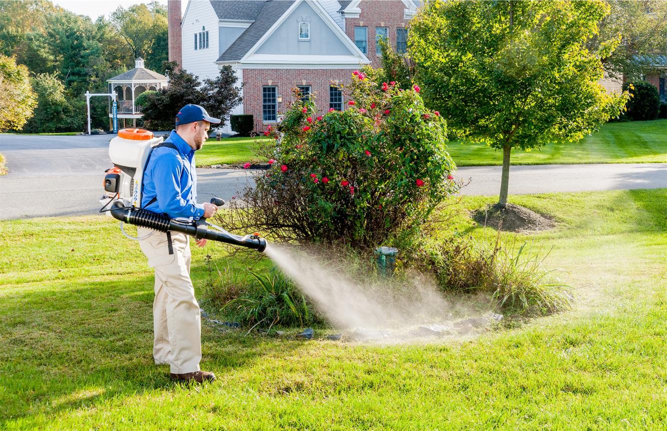 Mosquito Control Service