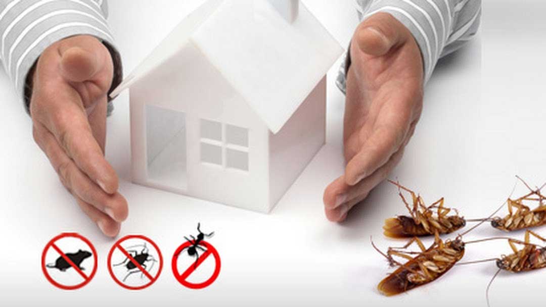 Residential Services