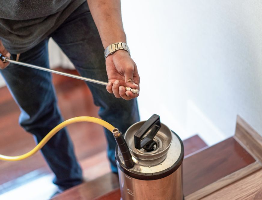 Professional Disinfection Services
