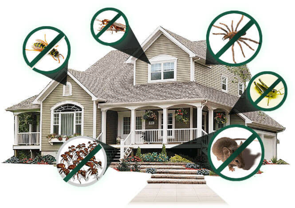 Residential Services