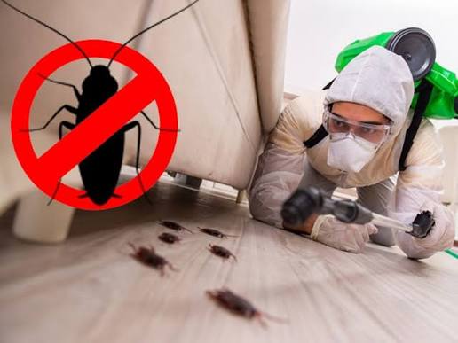 Cockroach Control