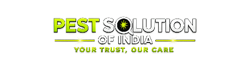 Our Pest Control Services