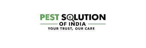 Our Pest Control Services
