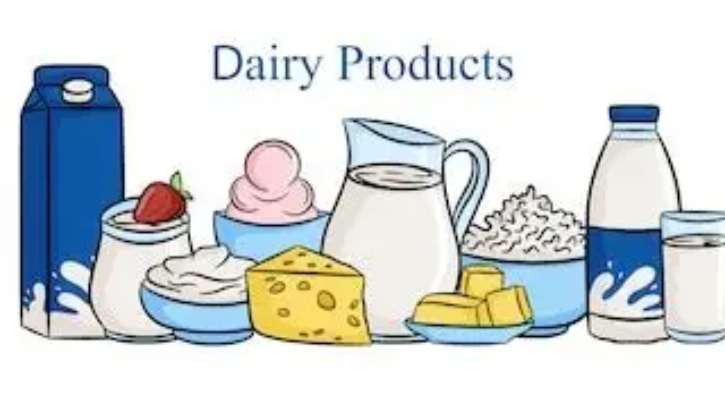 SHRI KANHA DAIRY